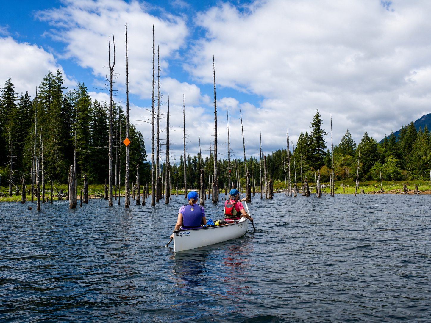 Why Most Paddlers Don't Need a Guide on the qathet Canoe Route