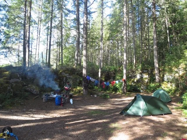 A peaceful camp set up in the forest