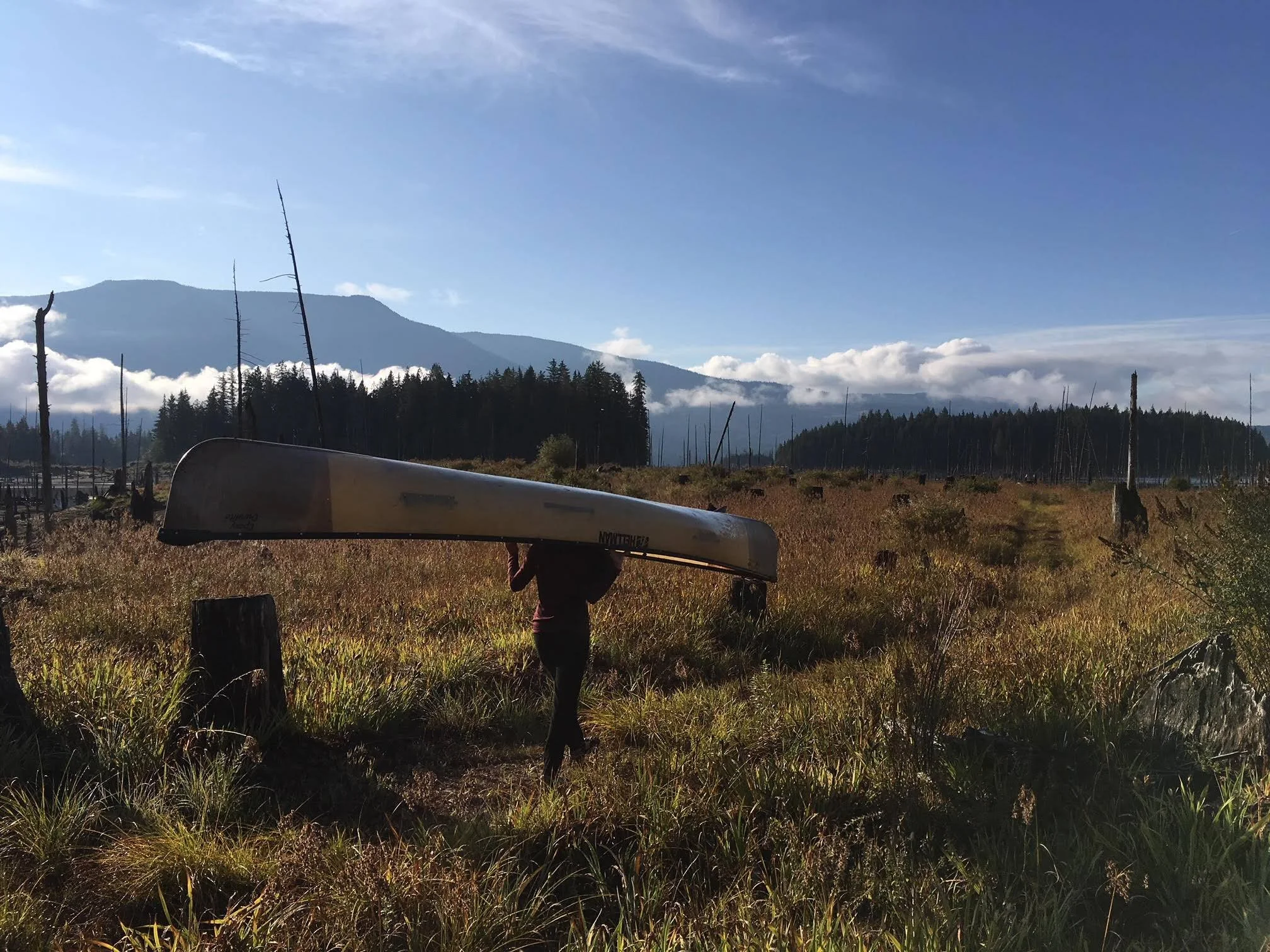 Overhead portaging through a forest field