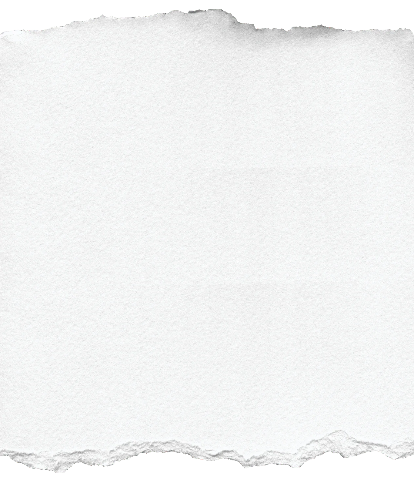 A torn piece of white paper with rough edges.
