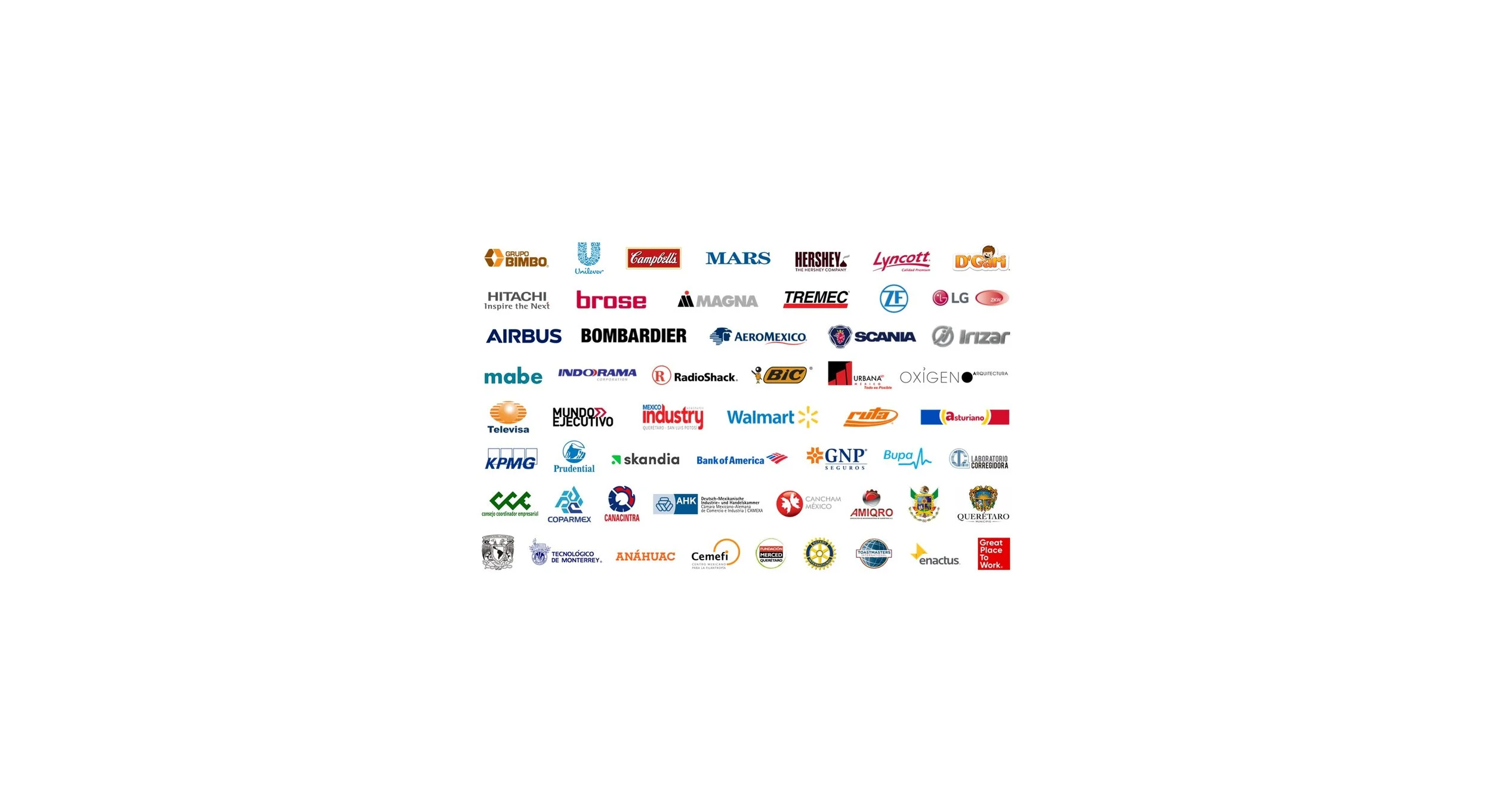 Consultoría y capacitación a clientes AAA del sector industrial, comercial, servicios, gobierno, académico y ong´s.