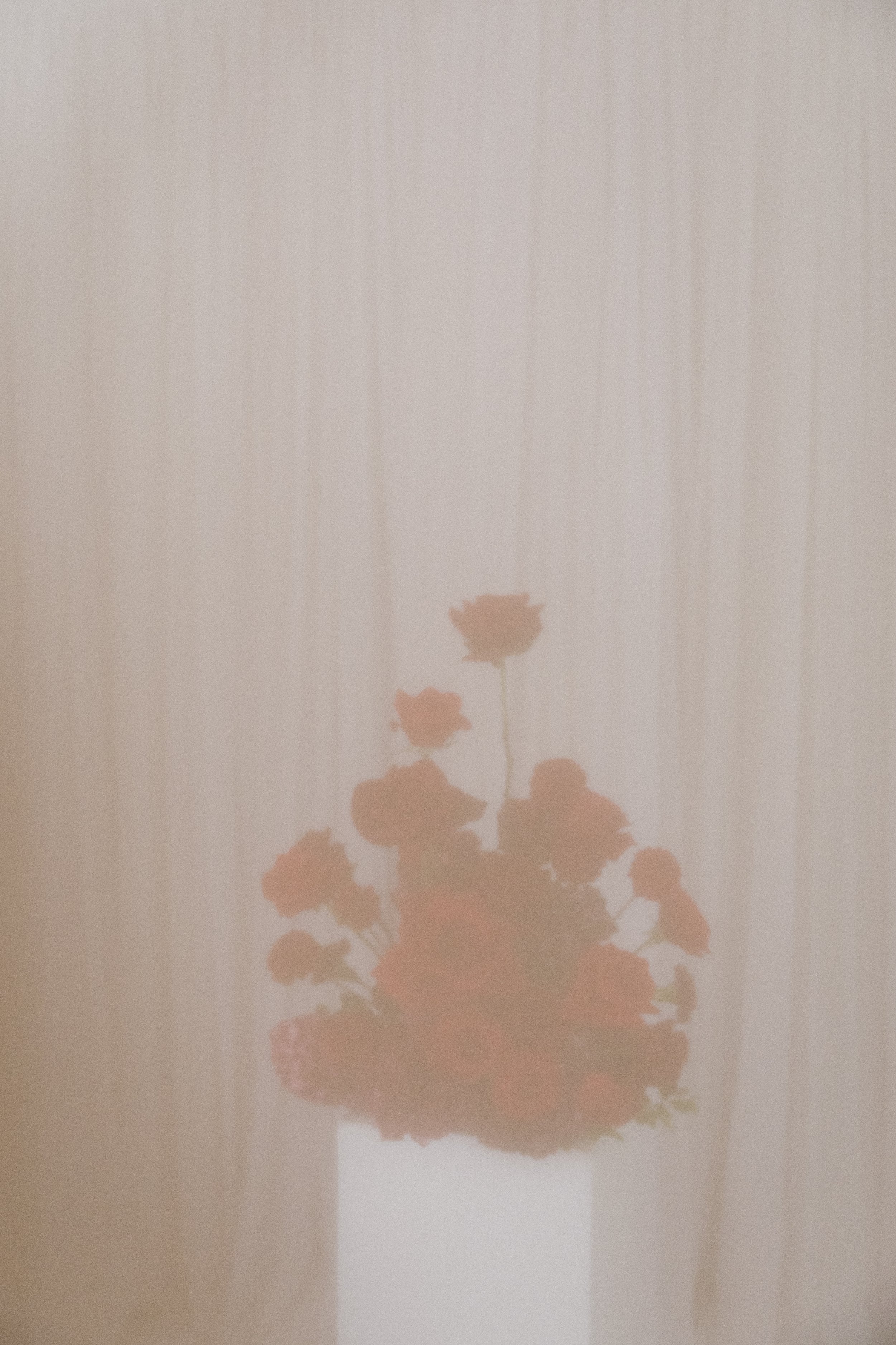 KasandraAnnePhotography-9199.jpg