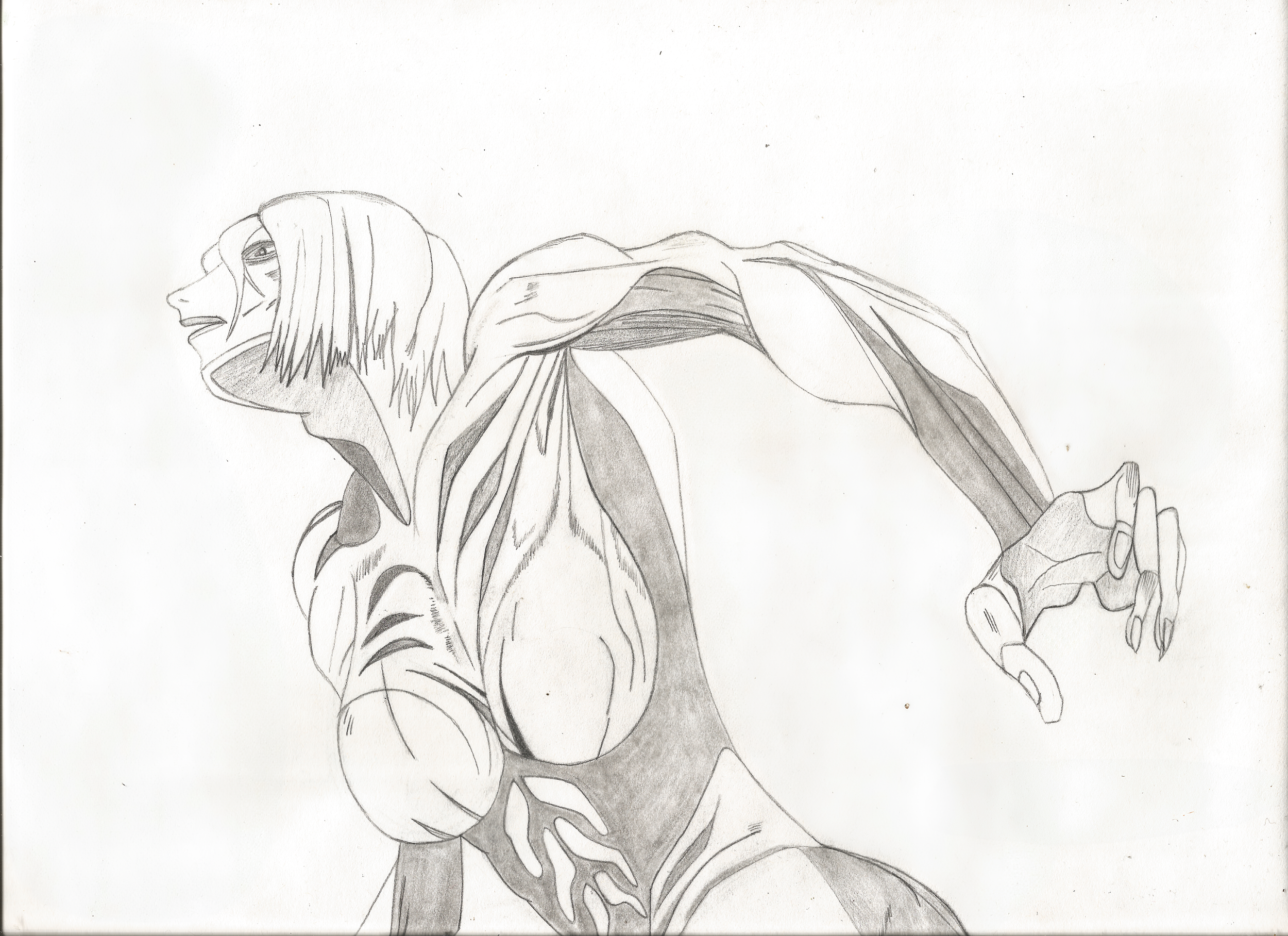 Female Attack titan resized.png