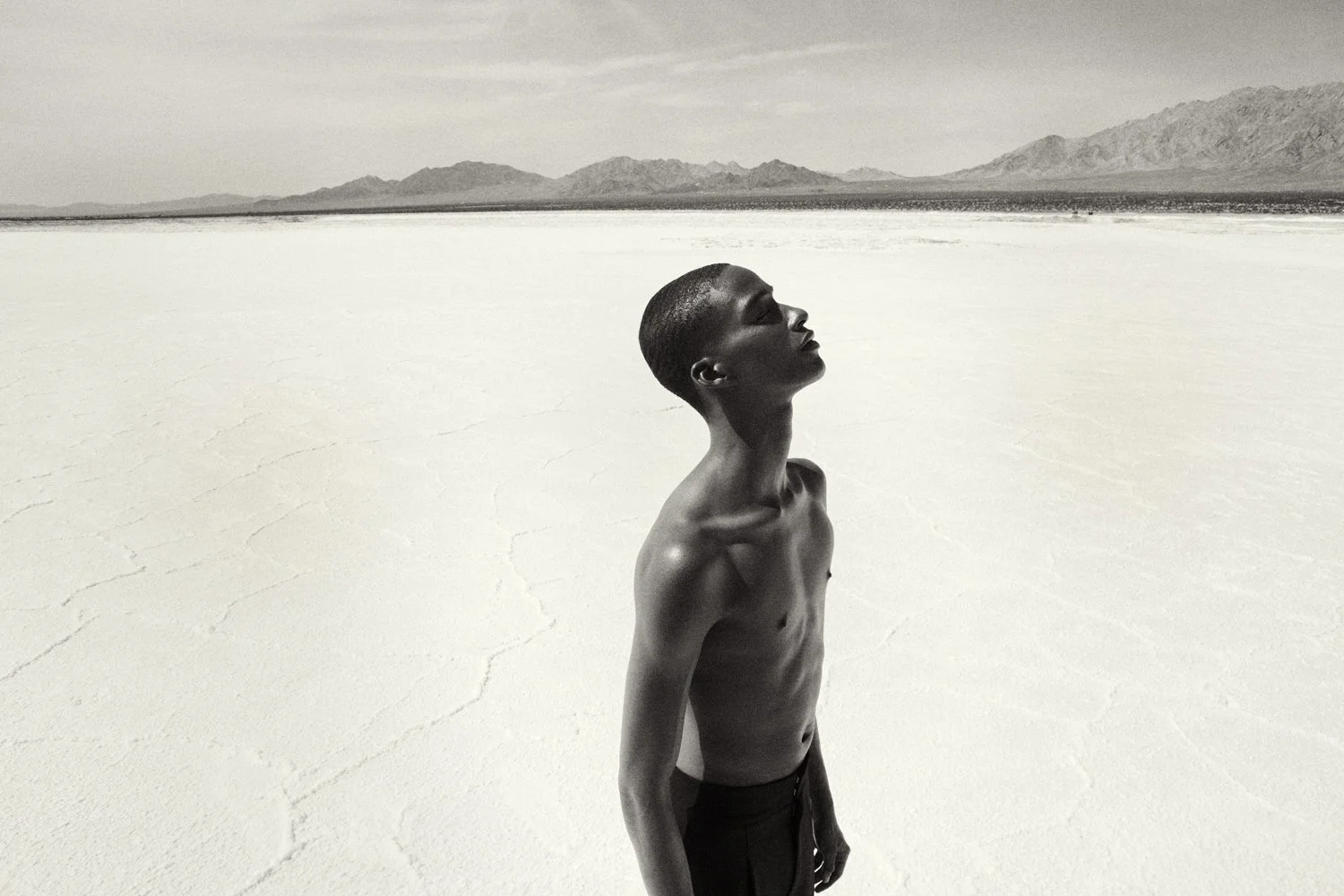 20260410_PS_482 R2 v2.jpg