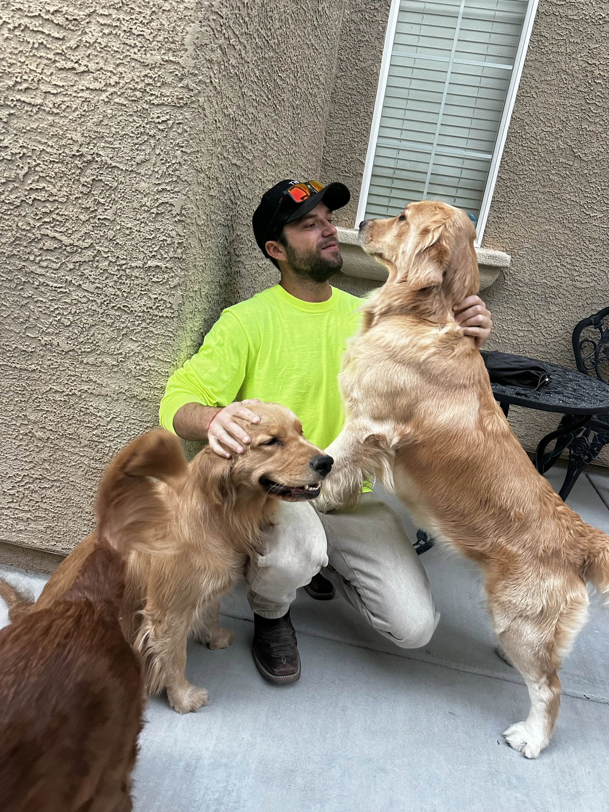 A person wearing a bright yellow shirt and black cap is sitting on the ground outdoors, interacting with two golden retrievers. One dog is standing on its hind legs resting its paws on the person's shoulders, while the other dog is sitting beside him, receiving pets.