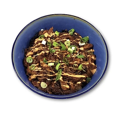 Bowl of food with sliced meat, drizzled sauce, and chopped green onions.