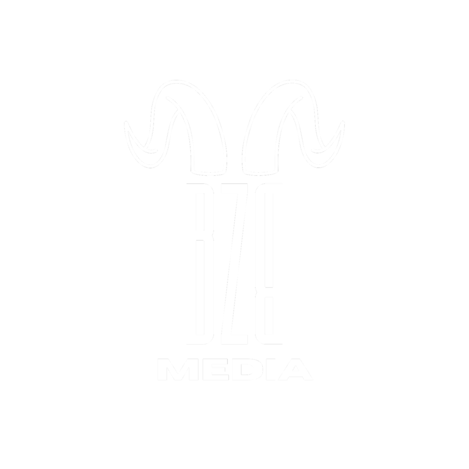 BZB MEDIA