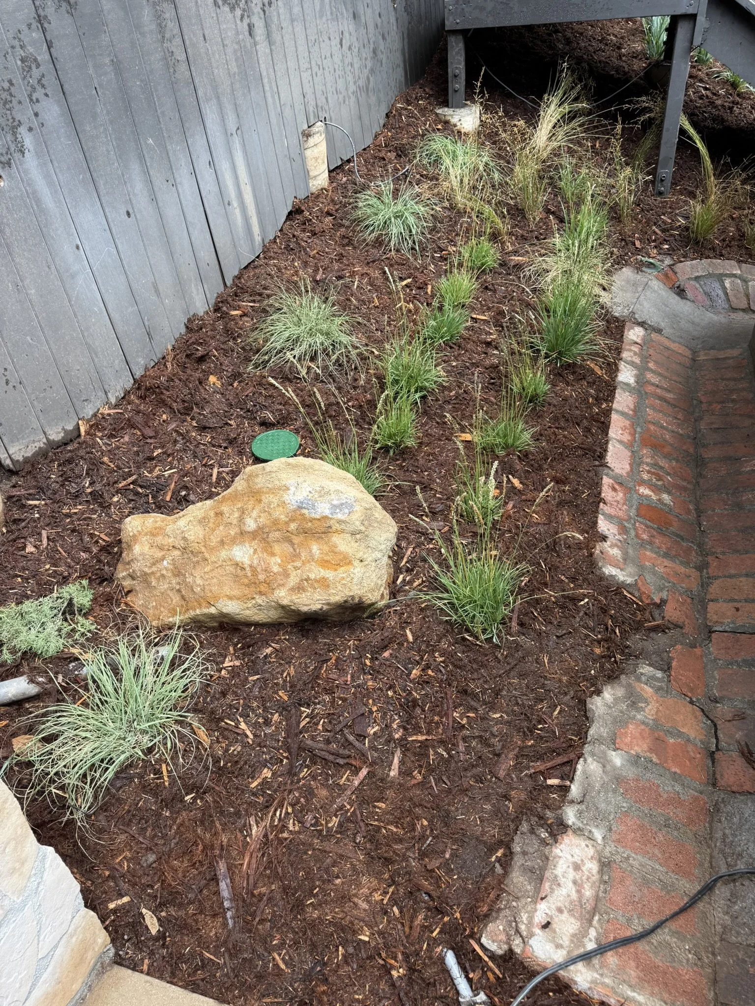 LANDSCAPING & LIGHTING | Garden planting with ornamental grasses, mulch, and a natural stone accent.