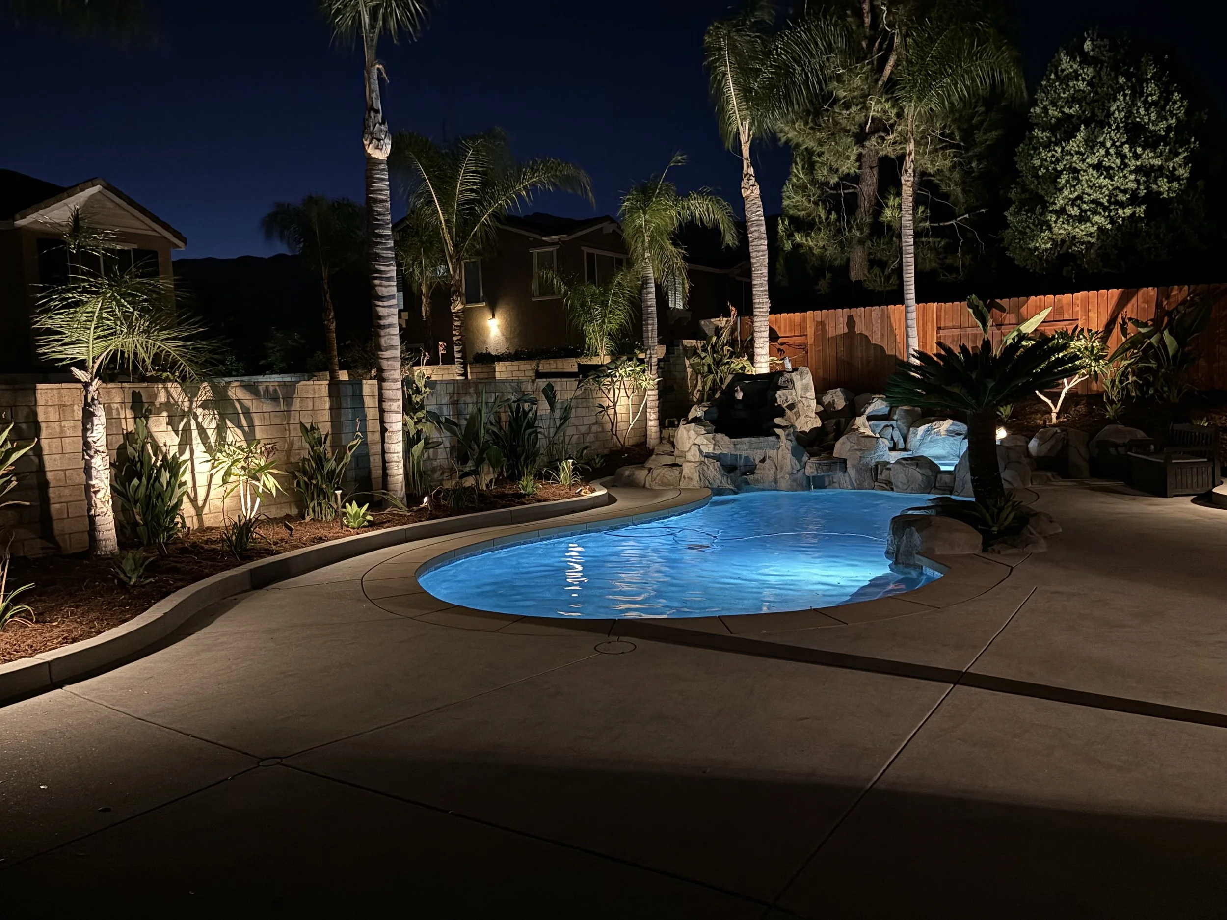 Illuminated backyard swimming pool with a curved patio and palm trees at night.
