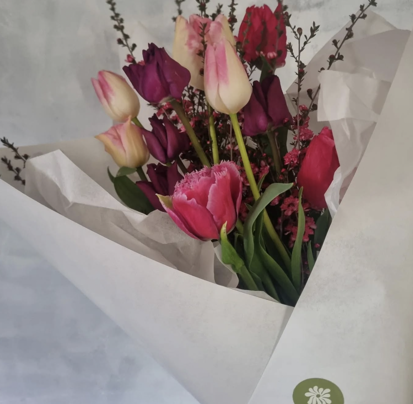 Tulips