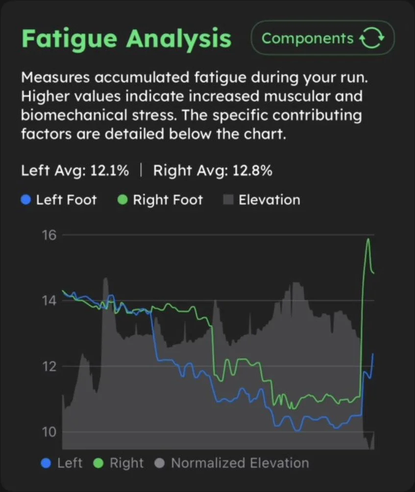 FatiqueAnalysis.jpg