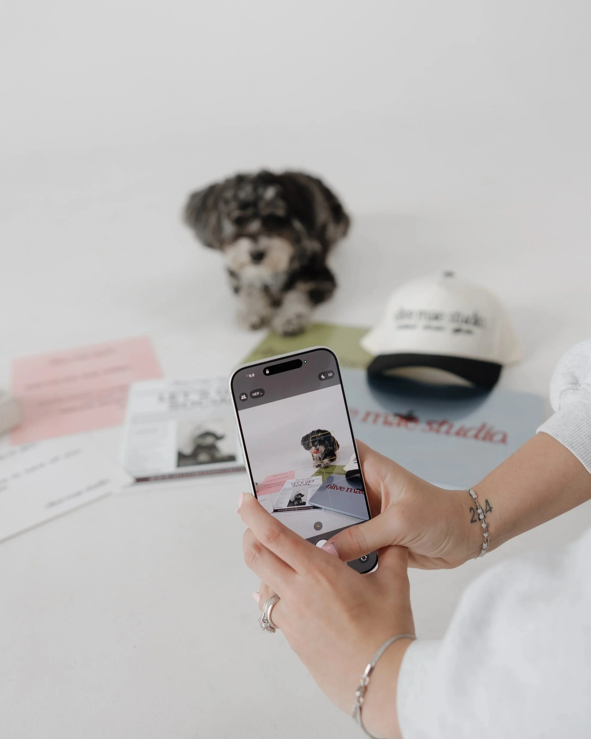 Person holding smartphone taking a photo of a small puppy on a desk, with papers and books in the background.