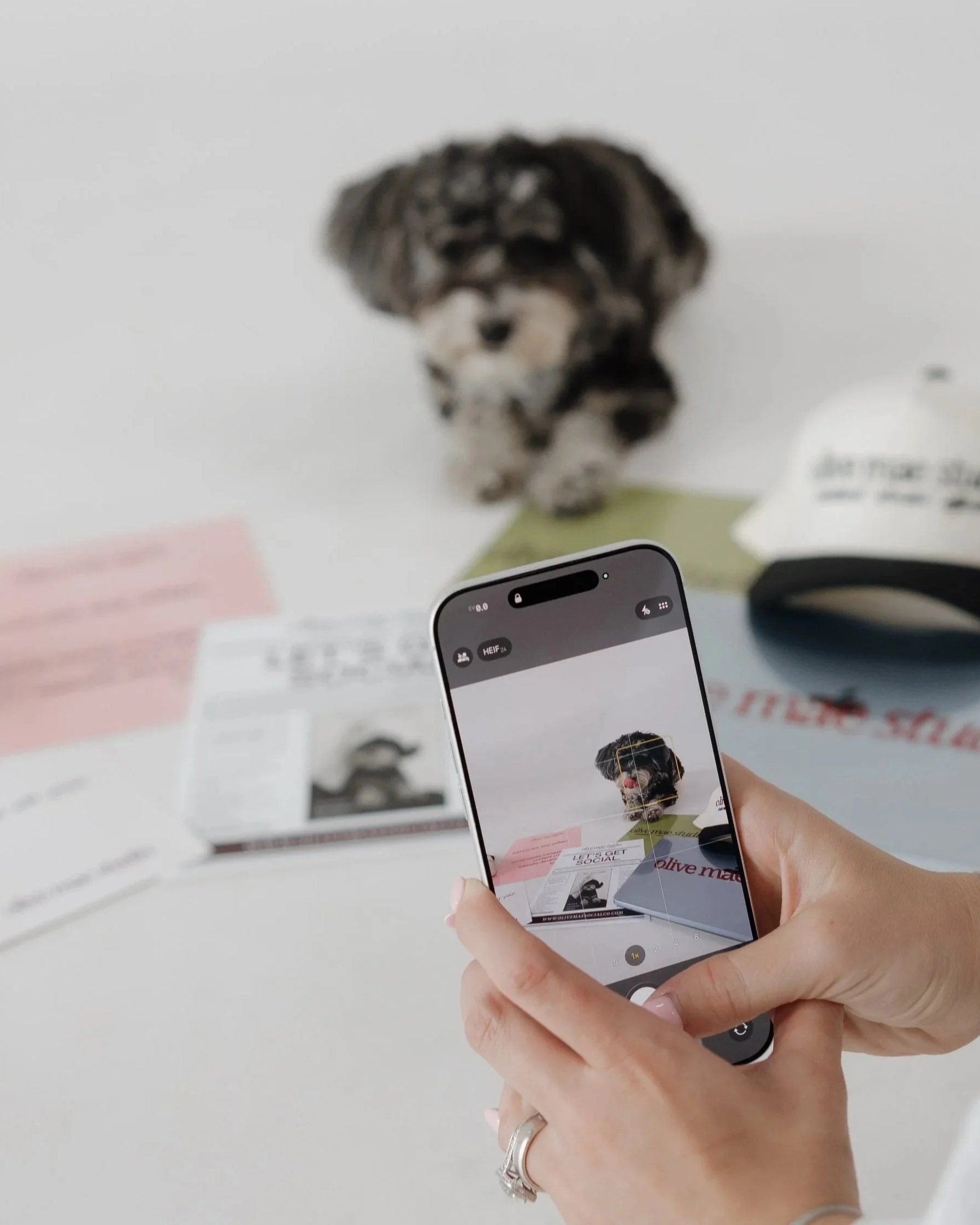 A person's hand holding a smartphone taking a picture of a small dog in a magazine or on a printed page with pages and text visible, with a blurred image of a dog on the background.