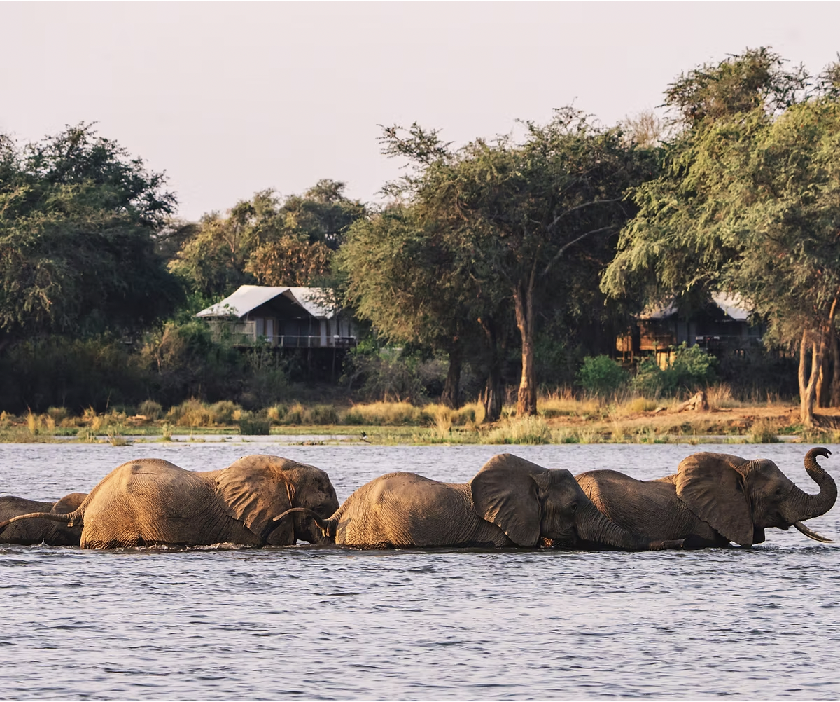 Screenshot 2025-04-07 at 09.24.37.png