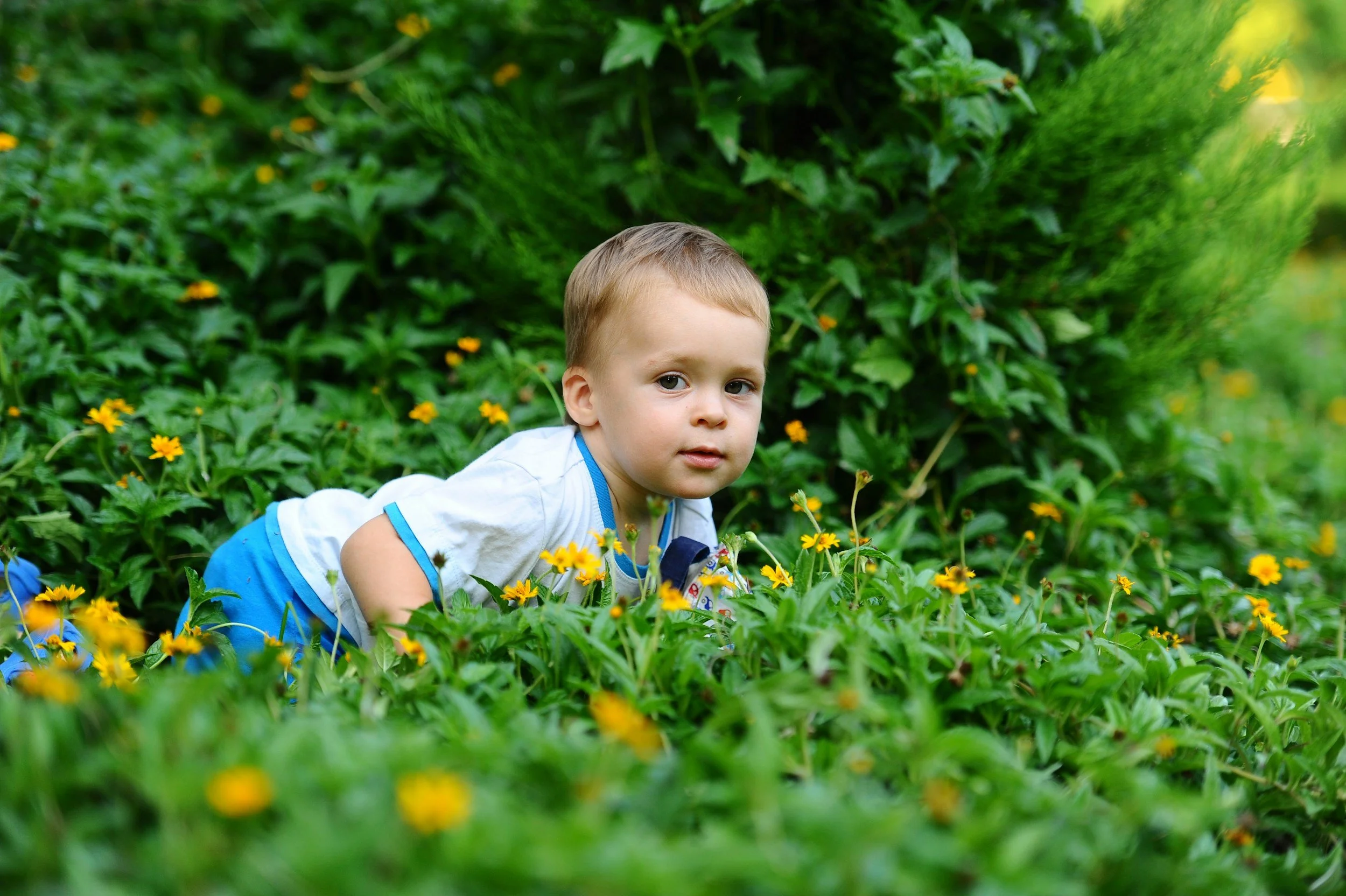 Toddler playing outside in Sonoma County, supported by nervous system focused chiropractic care