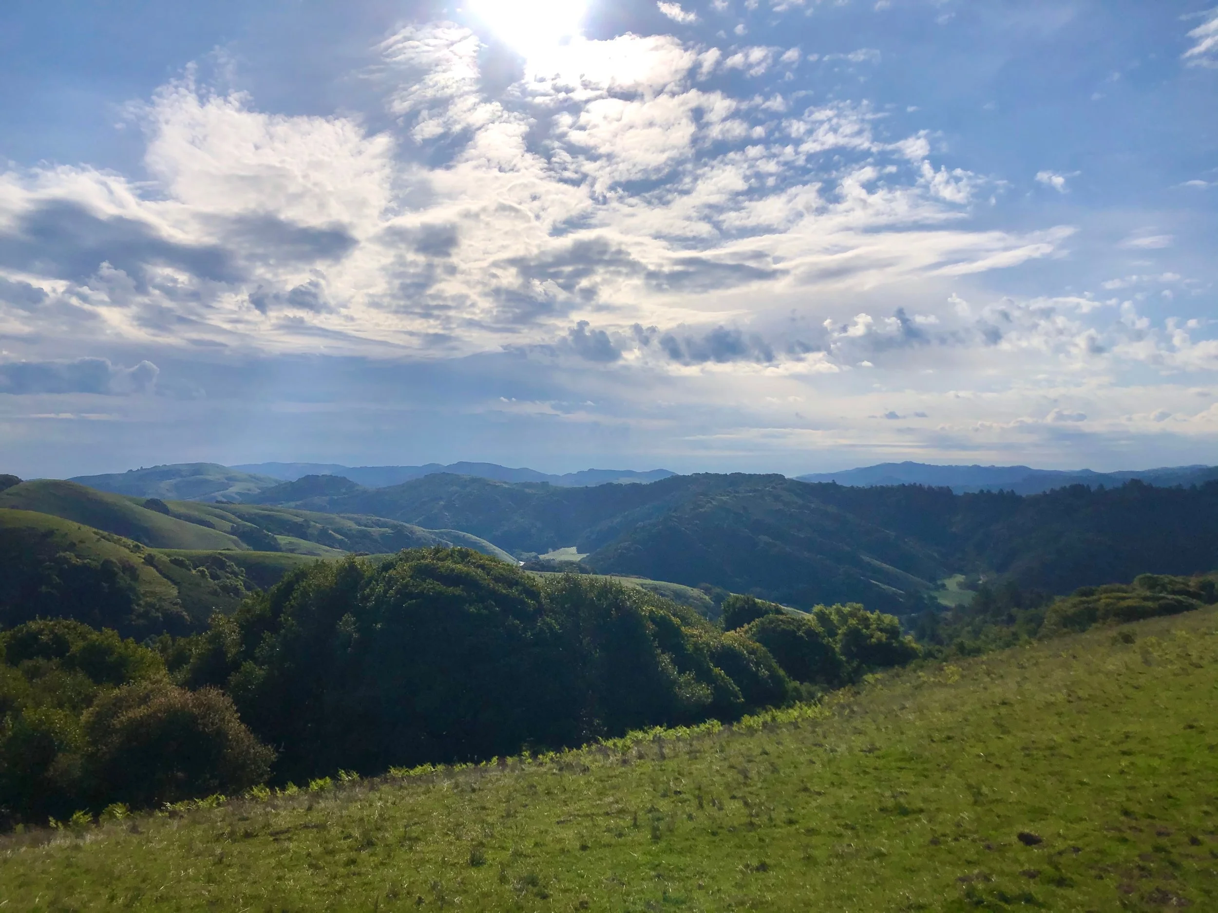 Petaluma family chiropractic care with Dr. Reilly Dolcini