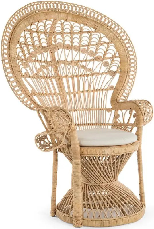 Peacock Chair