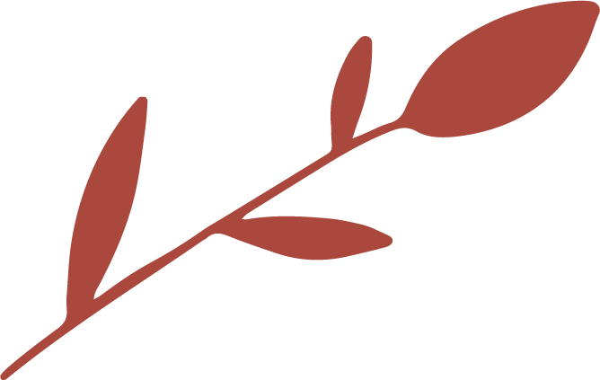 Brown illustrated branch with leaves and a bud.