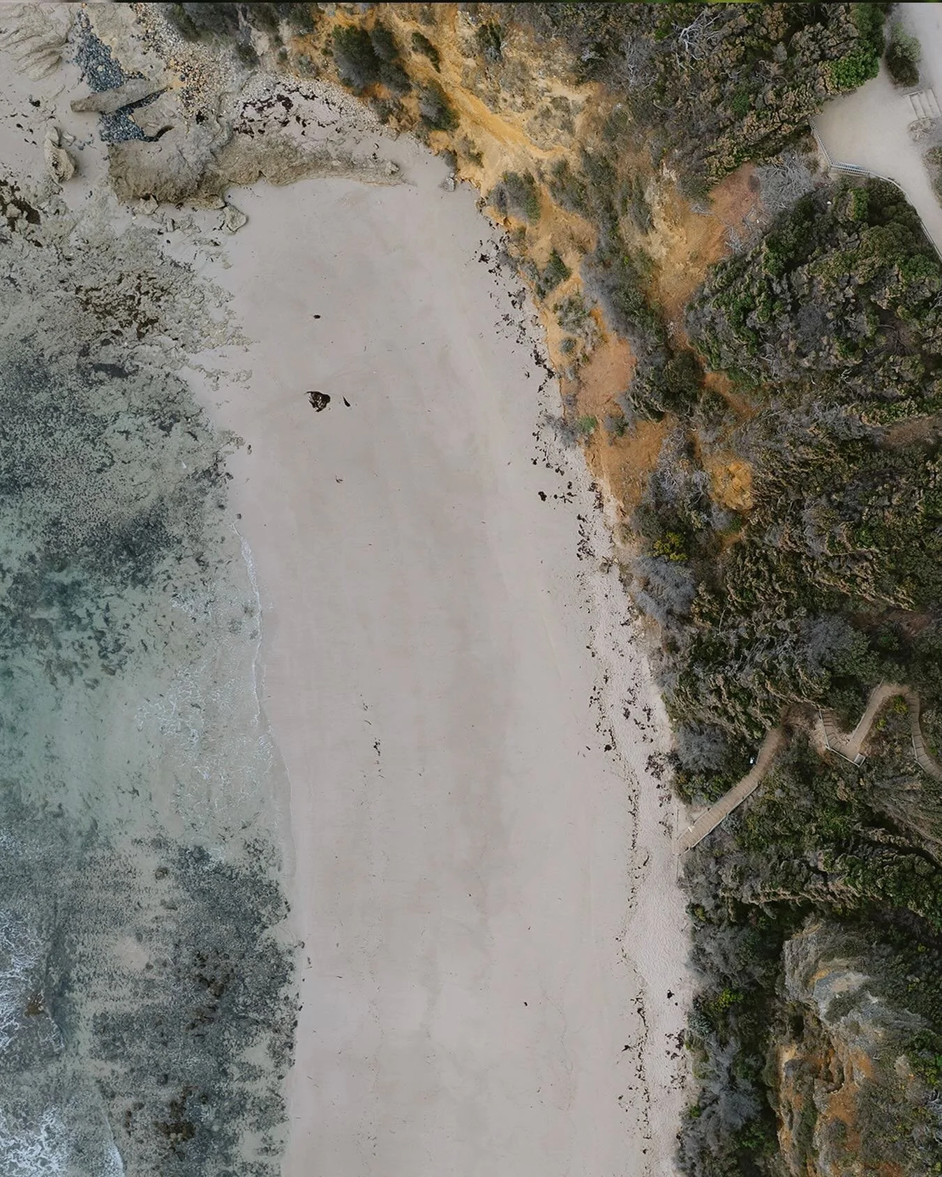 Aireys Inlet 💛 where the bush meets the sea, the cliffs glow golden, and time moves just a little slower.

We feel pretty lucky to call this place home. From misty morning dog walks to salty sunset dips, this patch of the Great Ocean Road holds a ki