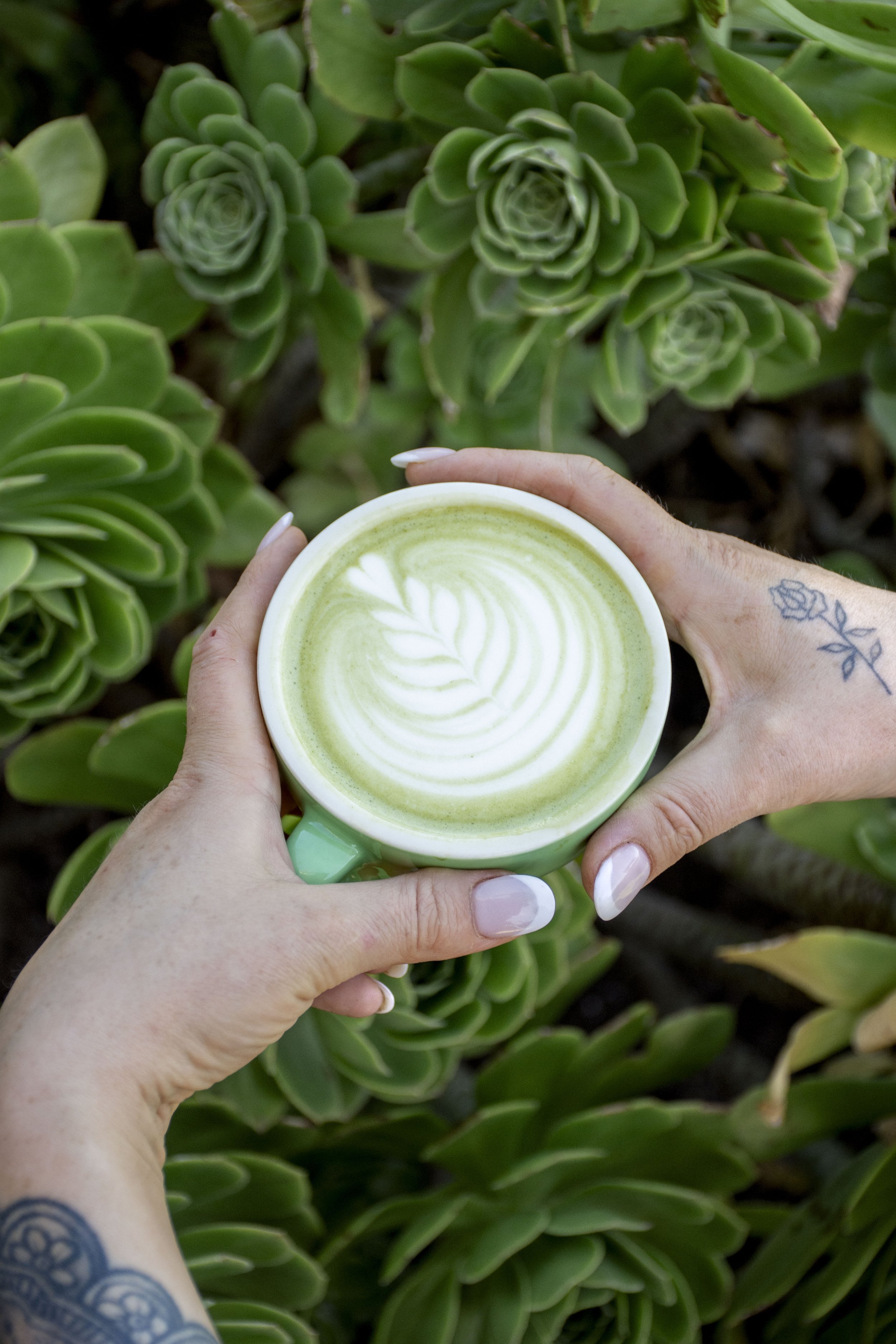 Specialty Coffee