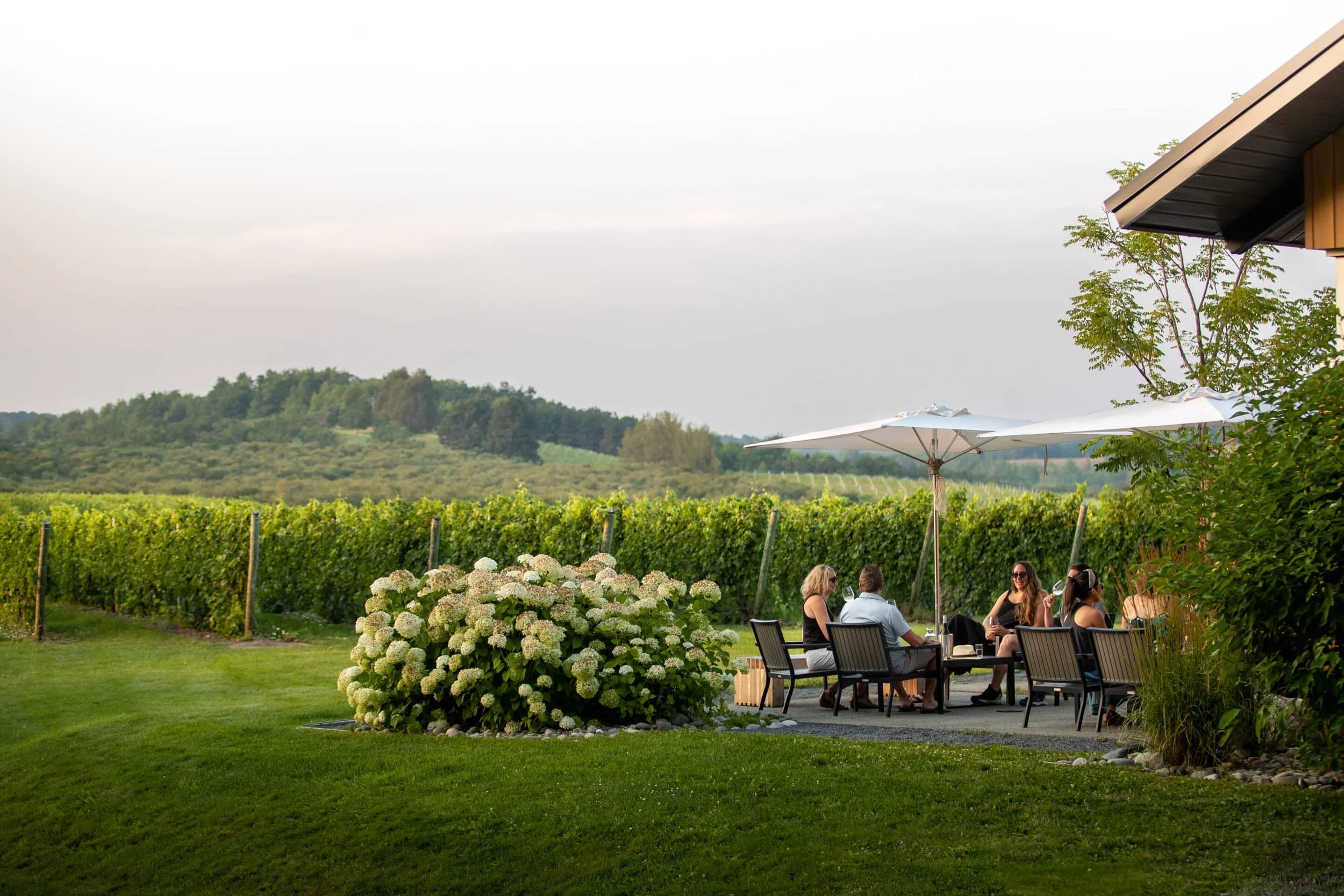 Foodie Friday at Blustone Vineyards