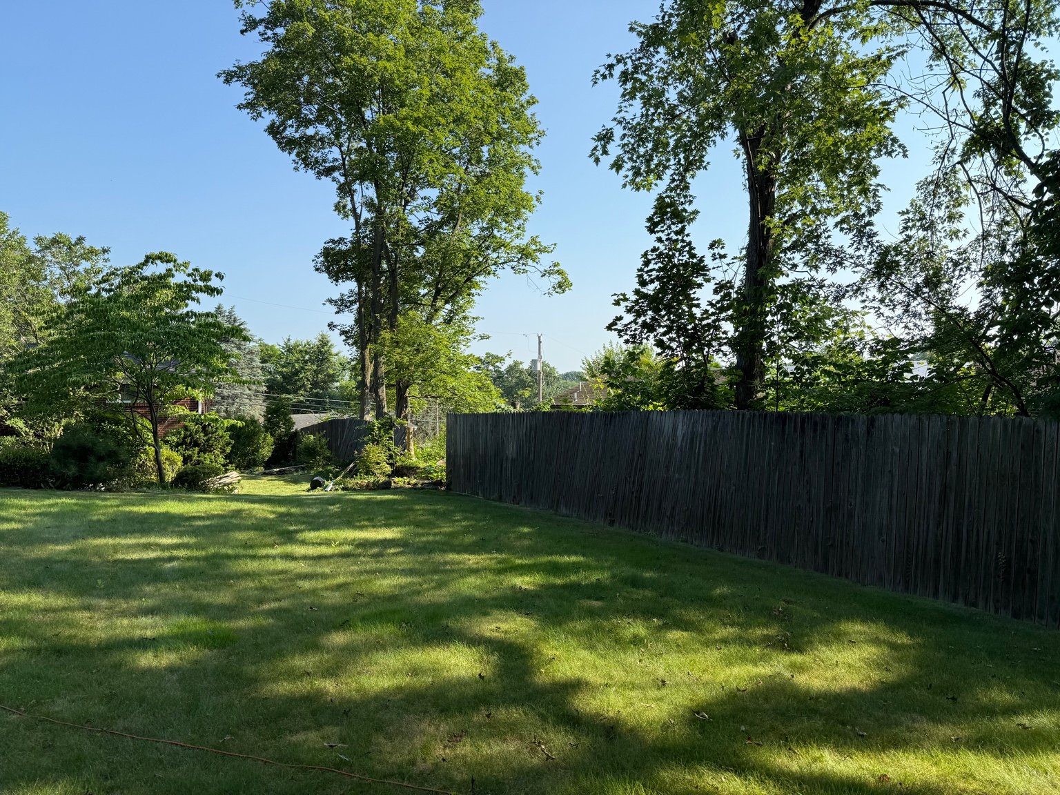 A lush backyard with green grass, trees, and a tall wooden fence under a clear blue sky.