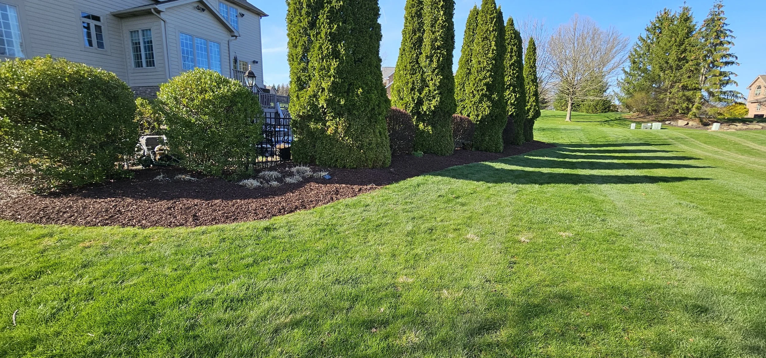 Well-maintained backyard with trimmed shrubs, tall evergreen trees, a grassy lawn, and a house with a deck visible on the left side.