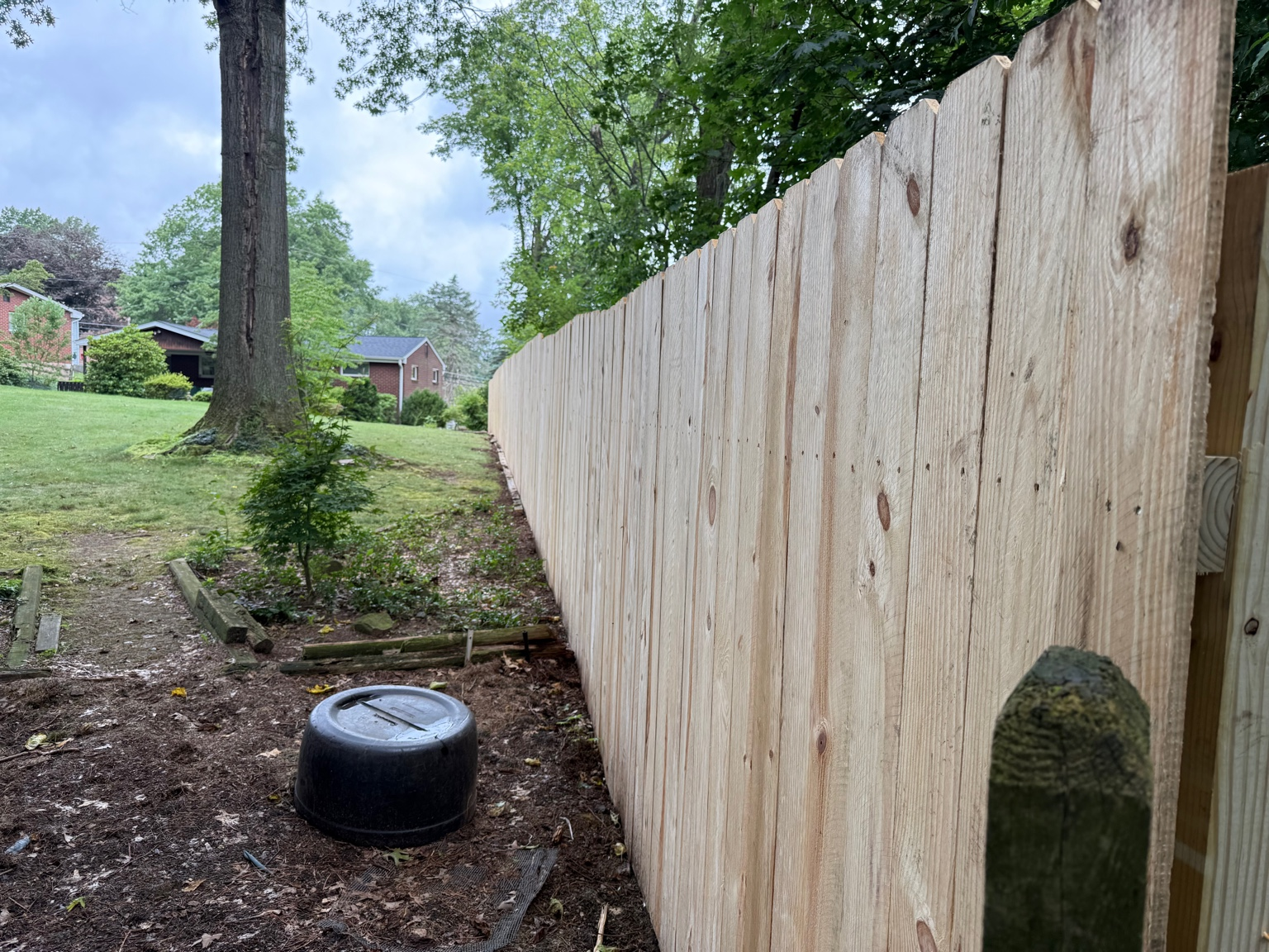 A newly installed wooden fence runs along the right side of the yard, with a large tree and smaller plants on the left. Houses are visible in the background under a partly cloudy sky.