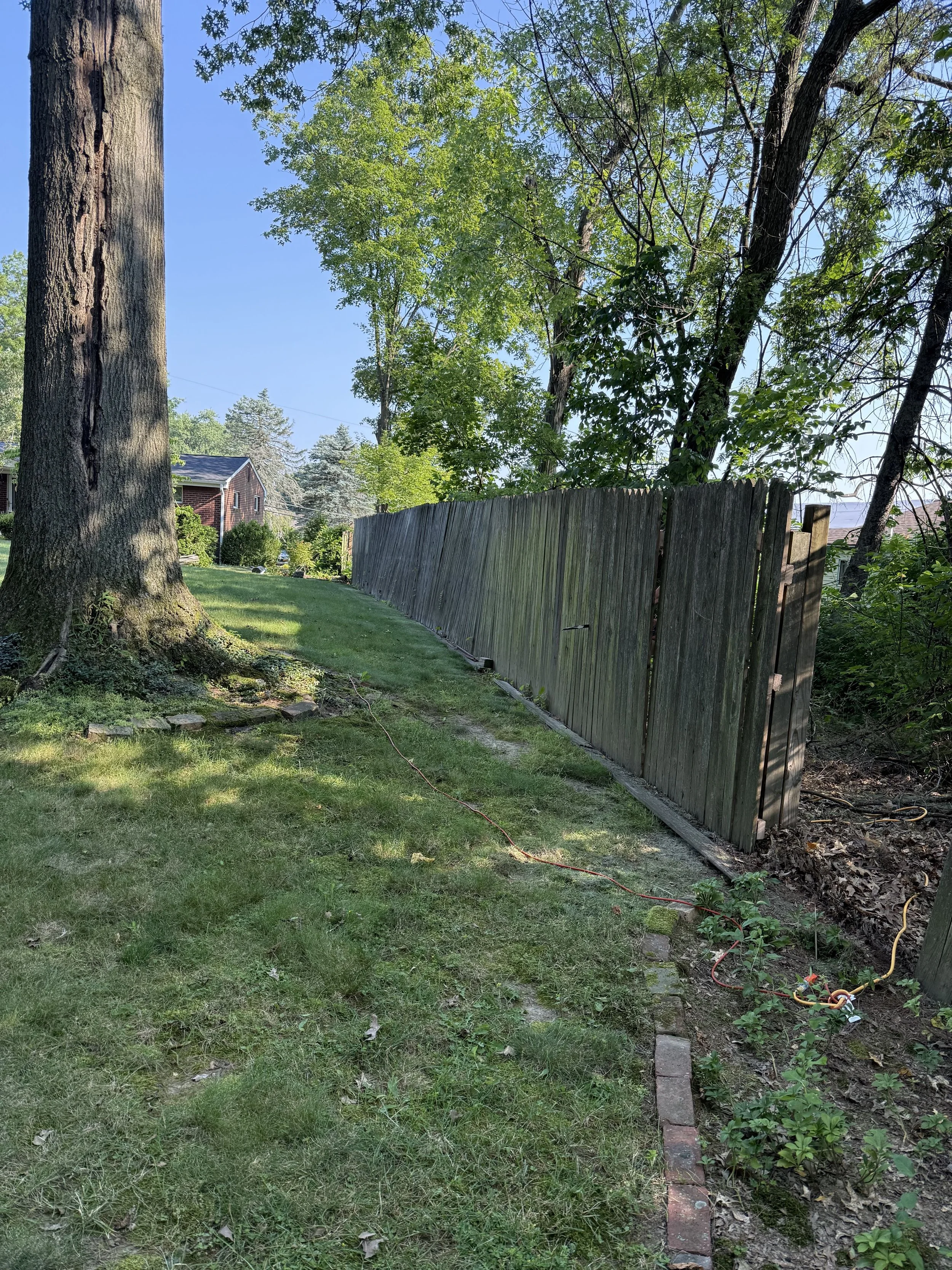 A wooden fence along a grassy yard with trees and houses in the background on a sunny day.