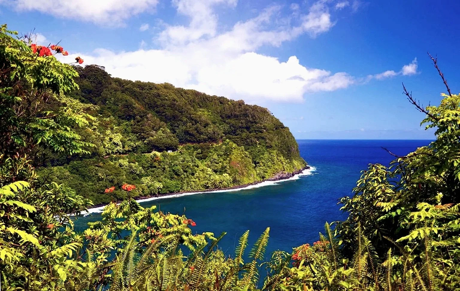 Scenic lush tropical landscapes in Maui