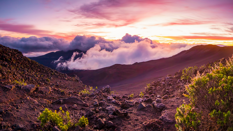 Aerial view of Maui coastline representing the Maui Real Estate Market Report Q4 2025