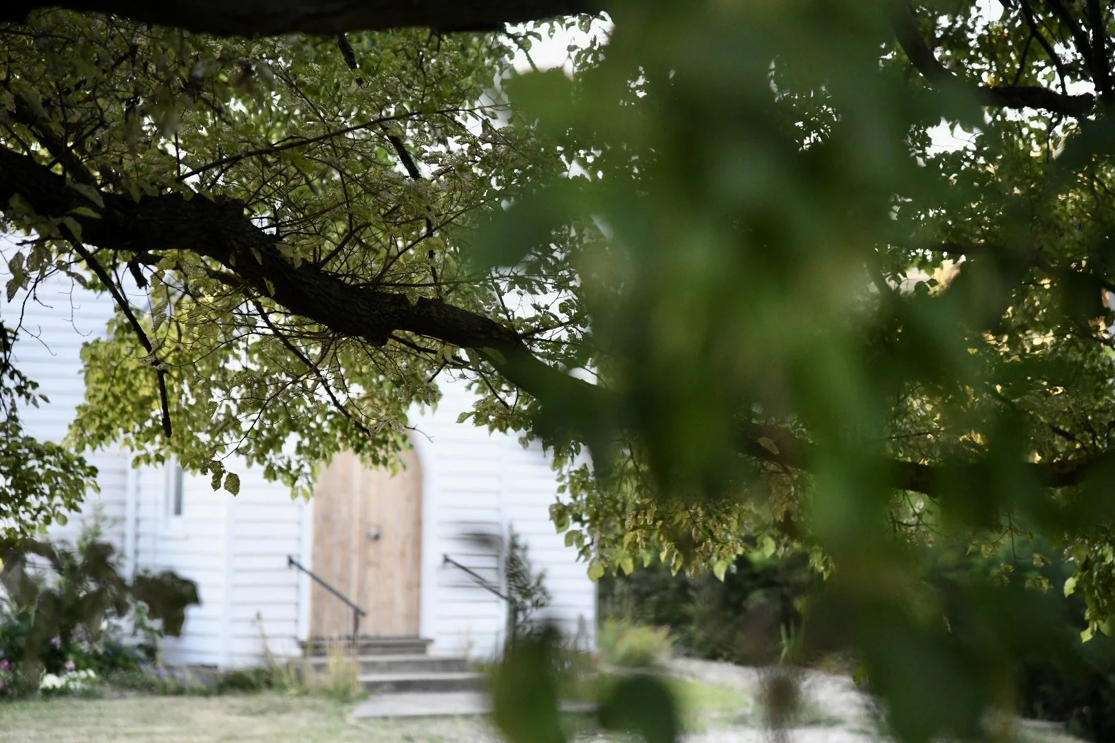 Outdoor scene with leafy tree branches partially obscuring the view of a white building with a wooden door.