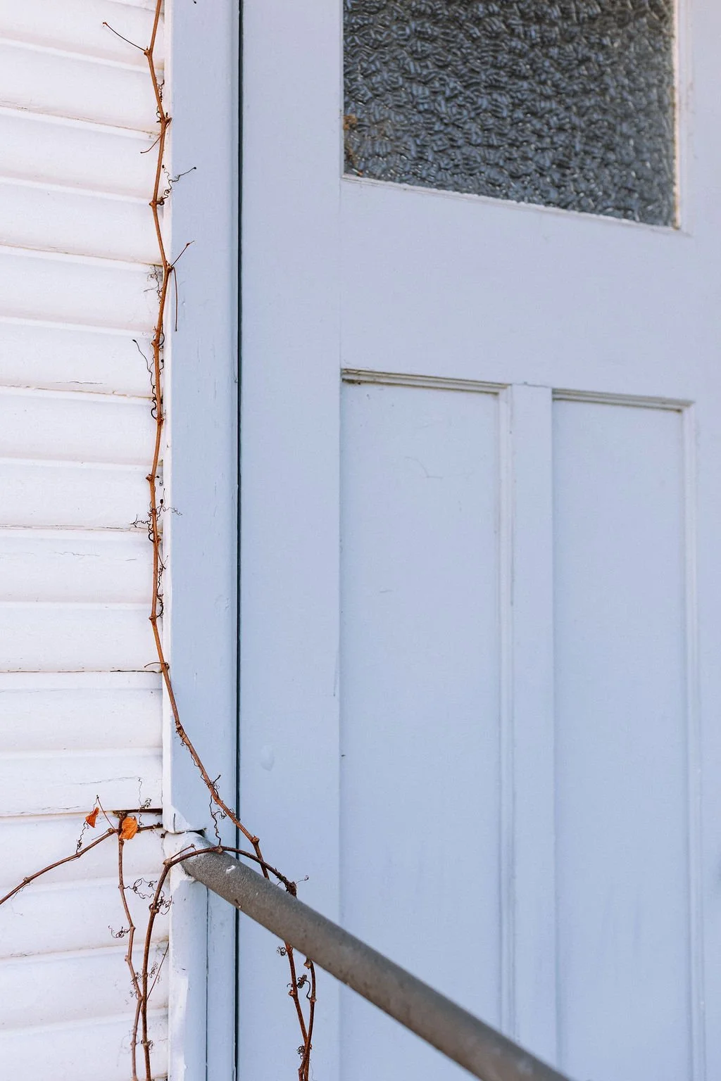 Close-up of a white exterior door with a square window and a gray metal handrail, partially covered by a vine with dried, twisted stems.