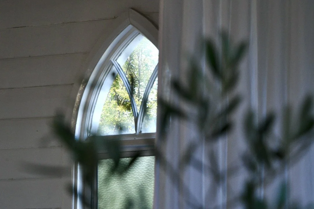 Gothic-style arched window with frosted glass and a tree view, partially obscured by a blurred plant indoors.