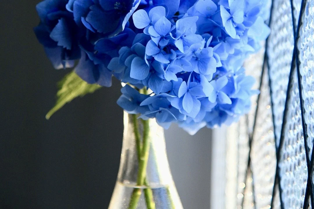 Blue hydrangea flowers in a glass vase near a textured glass window.