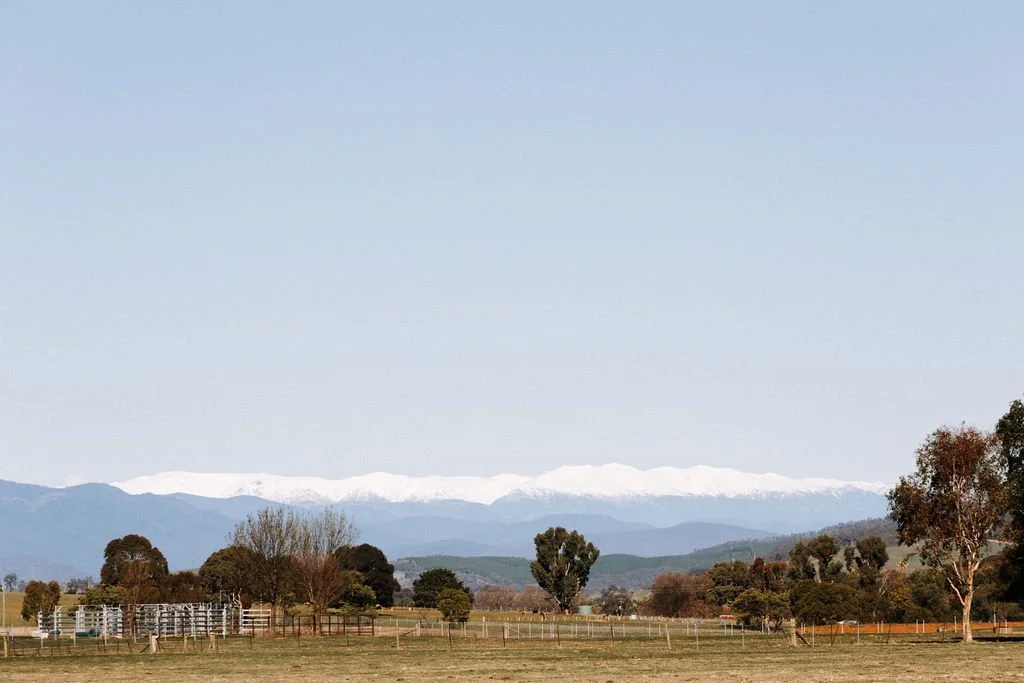 Scenic landscape with grassy fields, scattered trees, and rolling hills with snow-capped mountains in the distance under a clear blue sky.