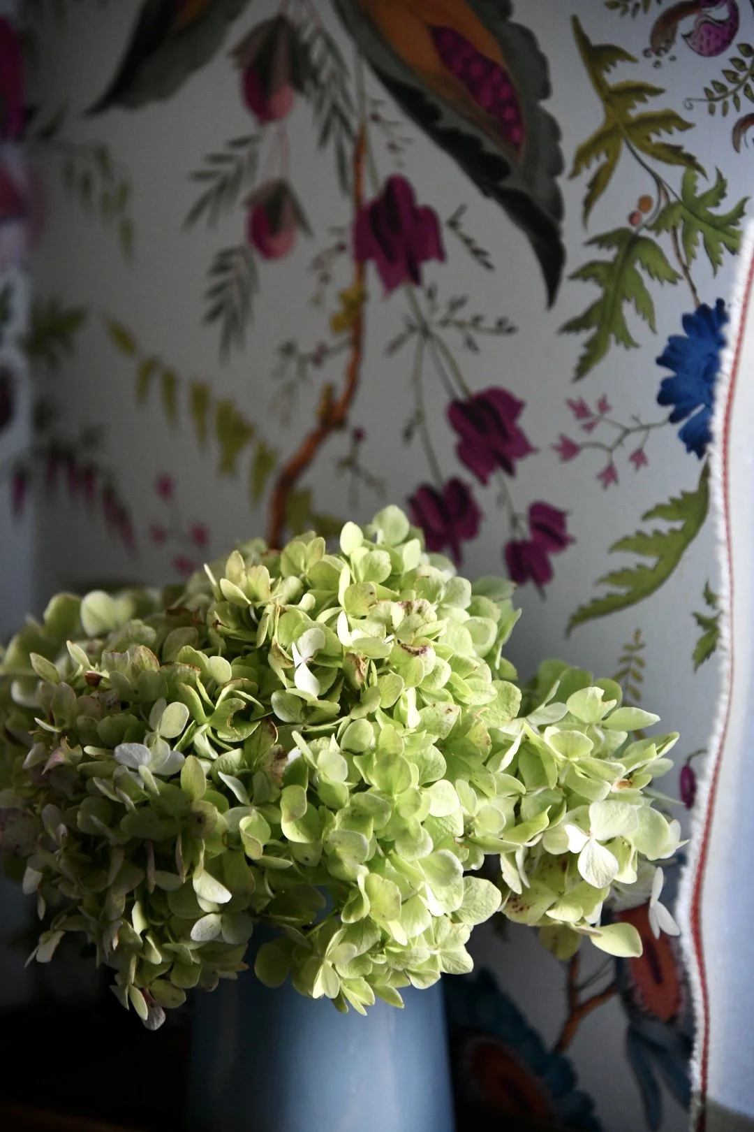 Green hydrangea flowers in a blue vase with floral patterned wallpaper in the background.