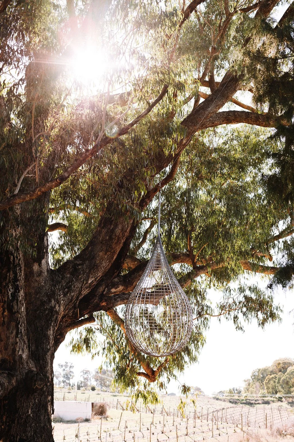 A metal teardrop-shaped birdcage hanging from a large tree with sunlight shining through the leaves.