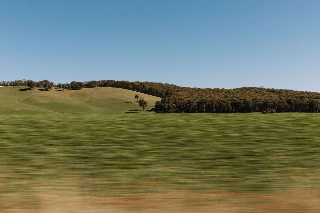 Scenic view of rolling green hills and a forest under a clear blue sky.