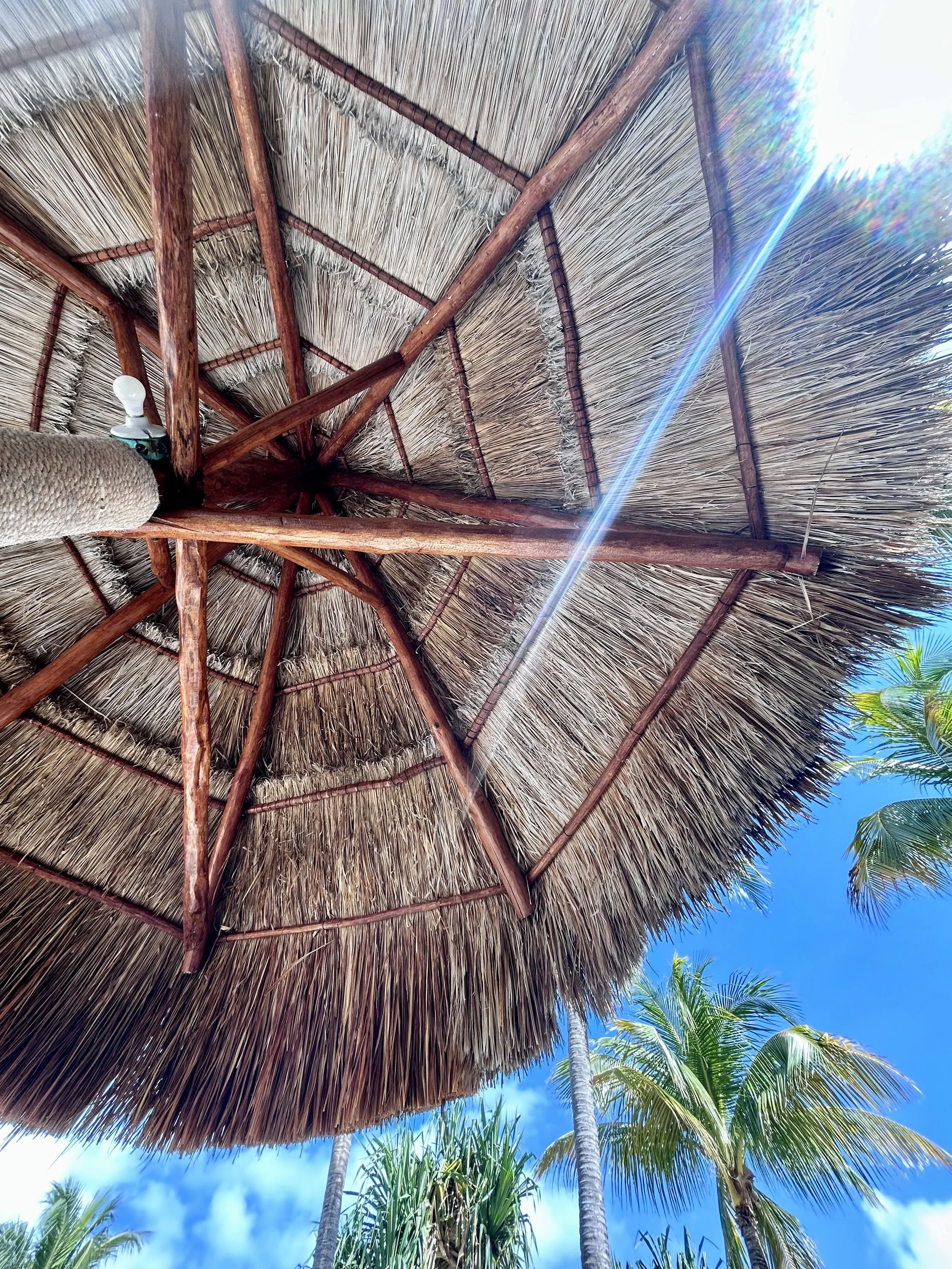 FullSizeRender 6.jpeg