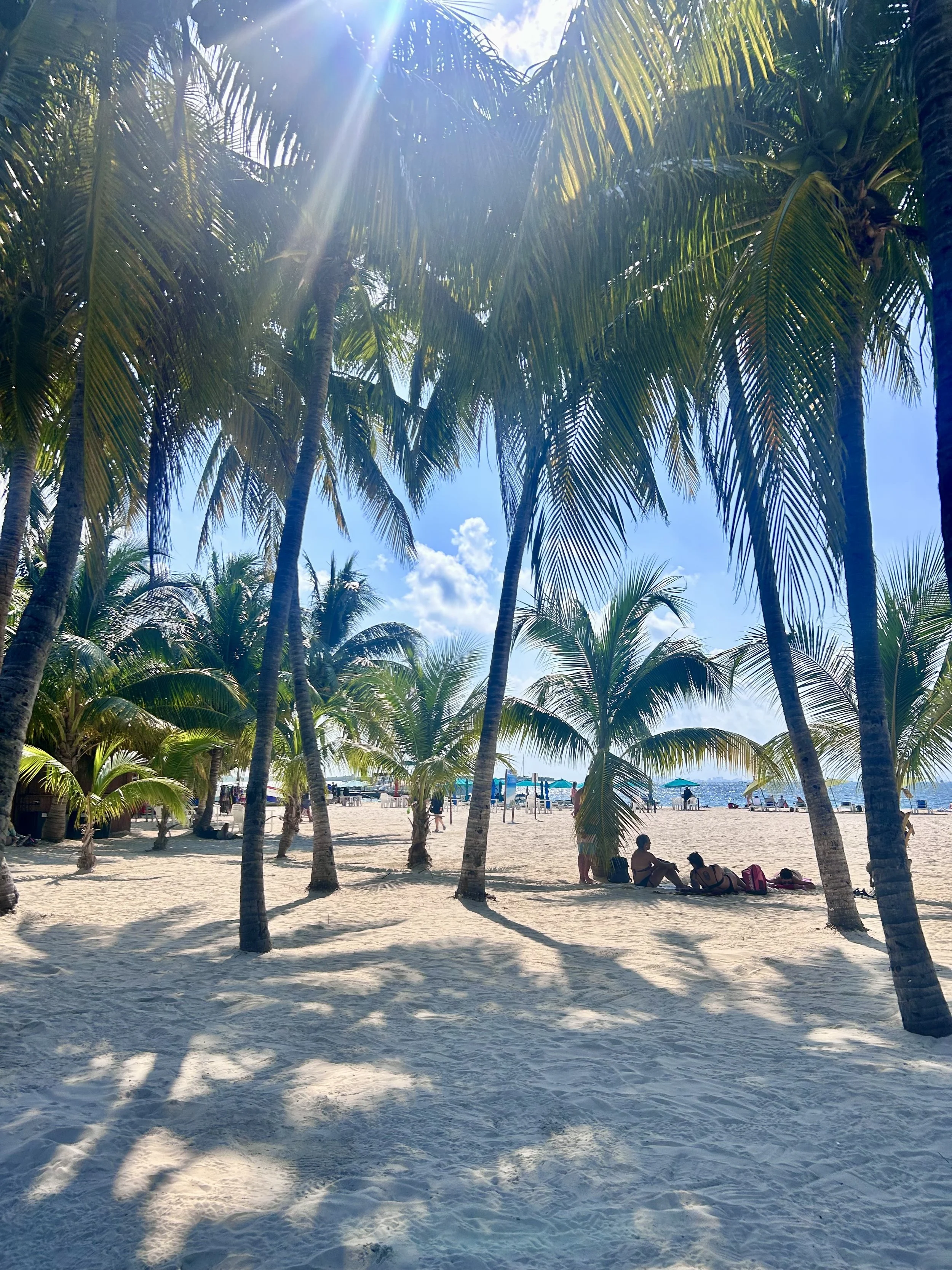 FullSizeRender (3) 2.jpeg