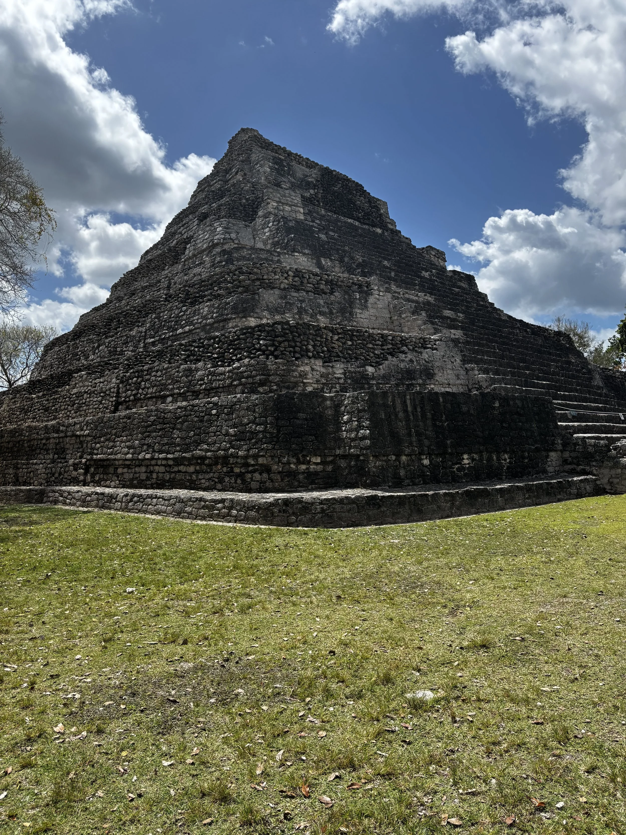 IMG_7495.jpeg