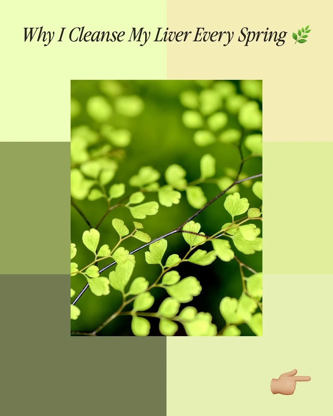 🌱 Why I Prioritize Liver Cleansing Every Spring

Years ago, I struggled with psoriasis that appeared on my foot &mdash; painful, itchy, and spreading fast. I tried everything: supplements, topical creams, specialized treatments&hellip; nothing helpe