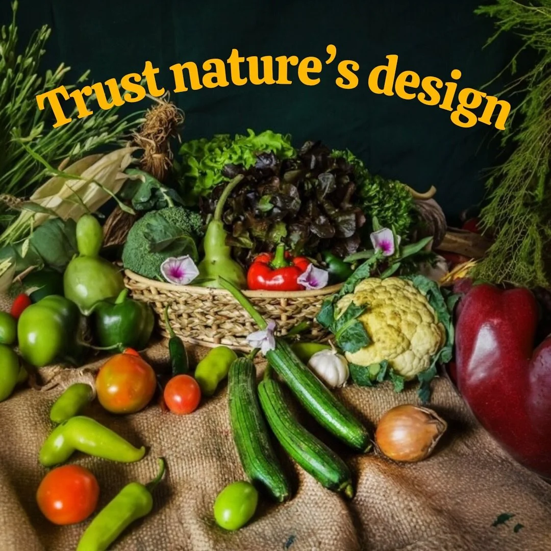 🌿✨ Your body knows real food &mdash; not isolated supplements. ✨🌿

Most supplements are chemically produced, isolated compounds &mdash; single nutrients pulled out of their natural context. But our bodies don&rsquo;t work that way. We&rsquo;re desi