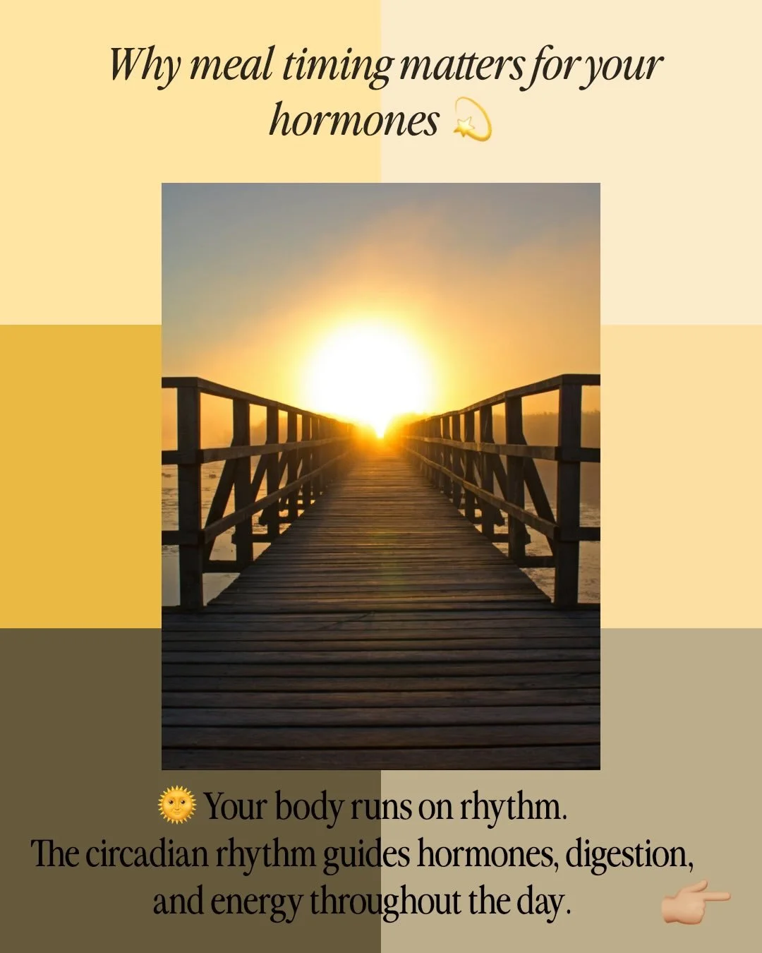 🌞 Did you know your circadian rhythm plays a major role in your overall health?

These days, most people&rsquo;s natural rhythm is out of balance &mdash; and that can create a whole cascade of health issues.

Your circadian rhythm is your body&rsquo