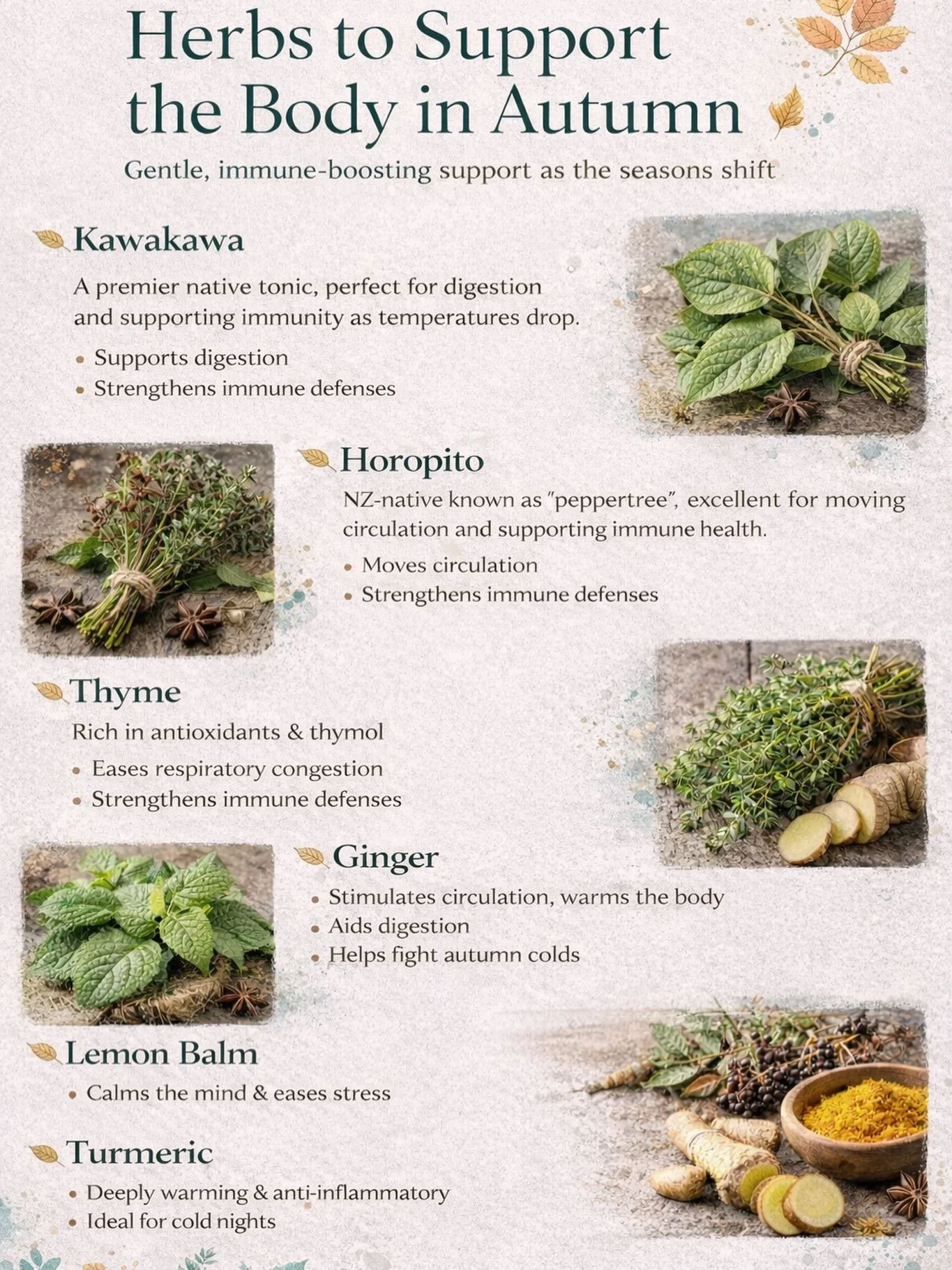 As we step into autumn, the body naturally begins to slow down, soften, and turn inward 🍂

This is the season to nourish your nervous system, support digestion, and gently strengthen your immunity.

Nature already provides everything we need &mdash;