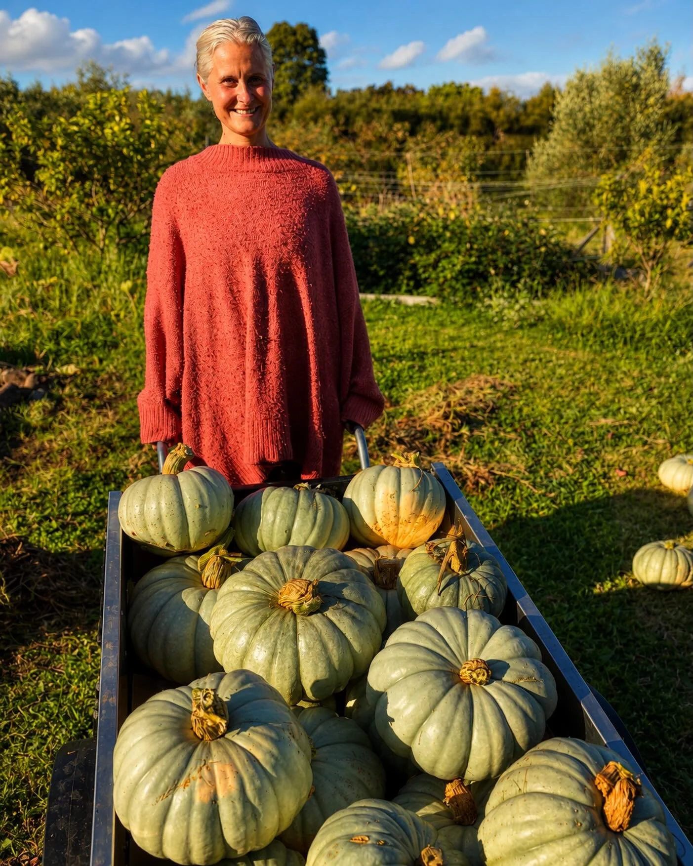 We live on a 1 hectare property where I grow many of my herbs, care for our olive orchard, and try to live as self-sustainably as possible &mdash; growing, preserving, and preparing a big part of our food ourselves. 🌿

At the same time, life is stil