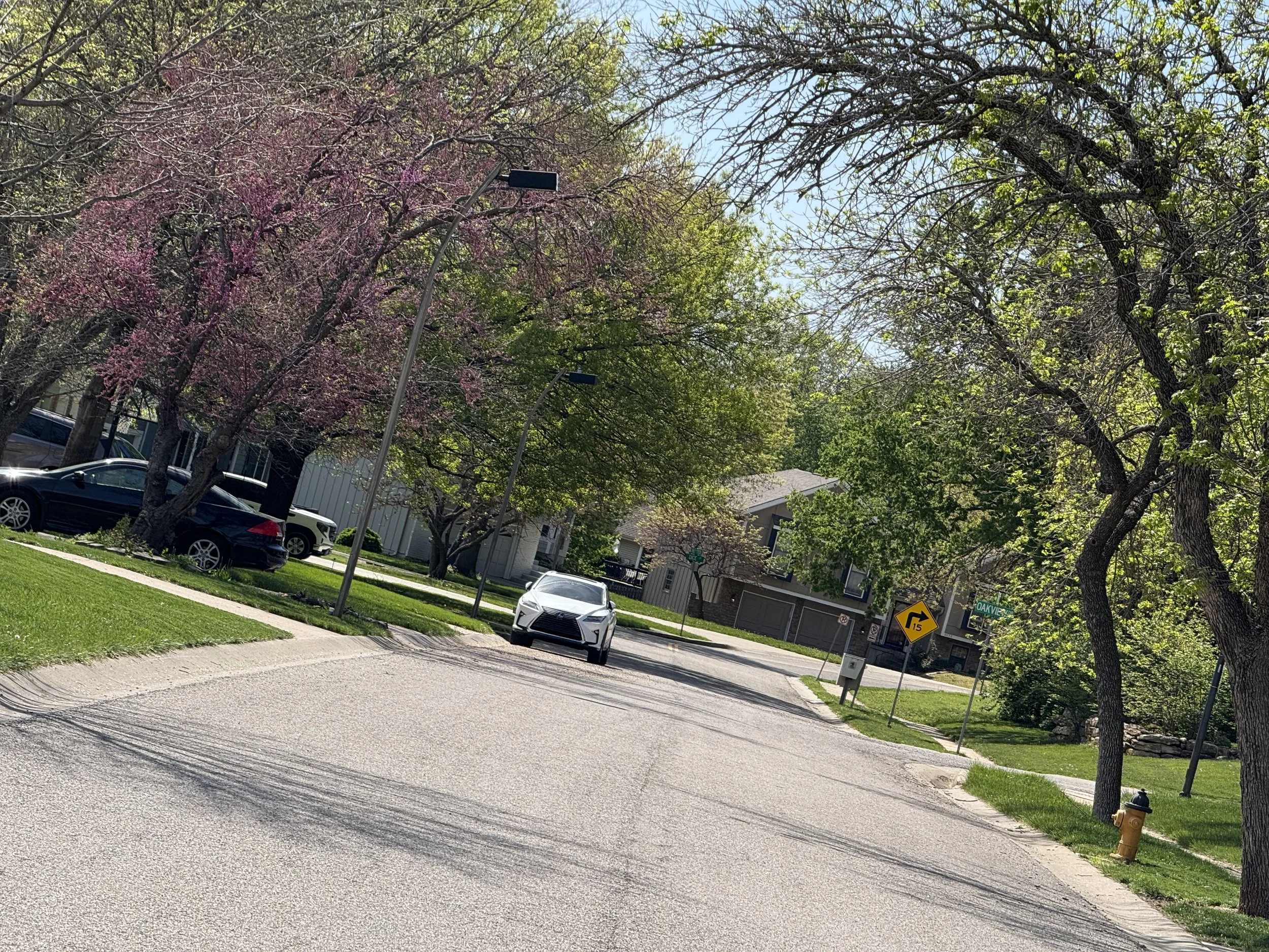 Residential neighborhood street with parked cars, trees with pink blossoms and green leaves, and a yellow traffic sign indicating a curve ahead.