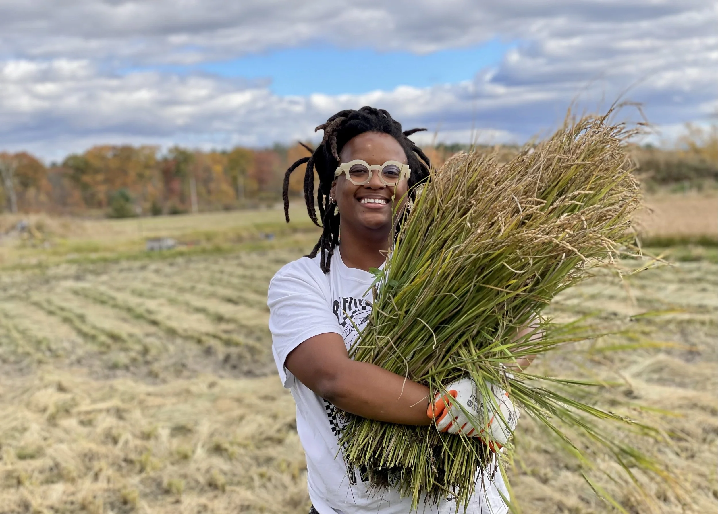 Black human in field holding bundle of wheat