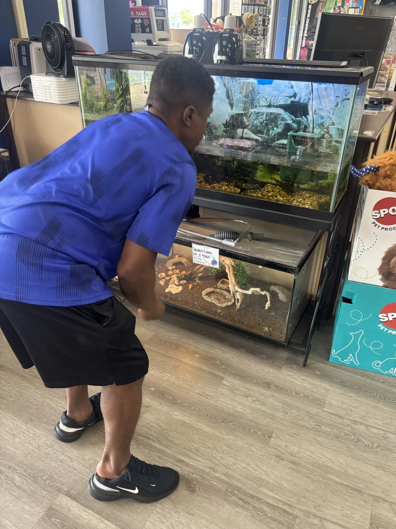Curiosity in action